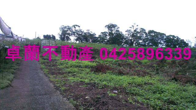 苗栗卓蘭農地-7