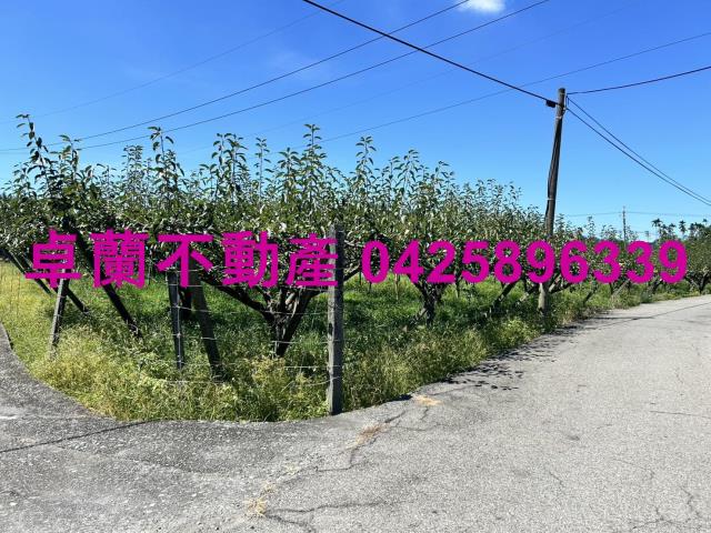 苗栗卓蘭農地-5
