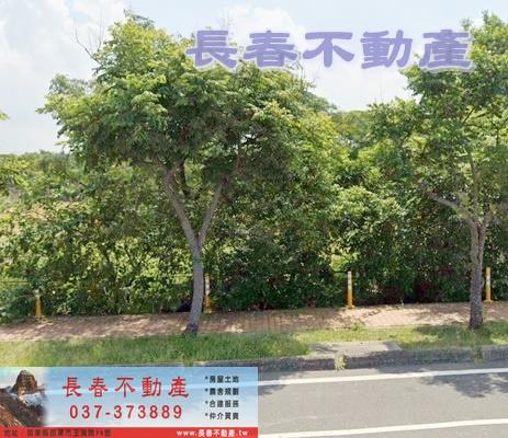 苗栗苗栗市農地-0