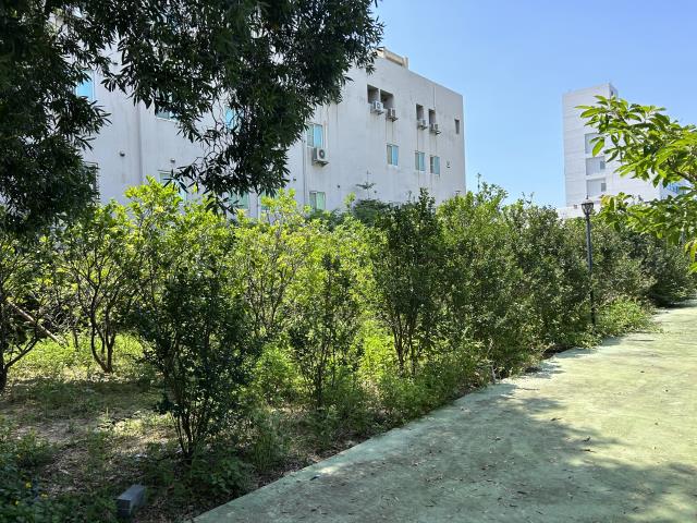 苗栗竹南工業地-2