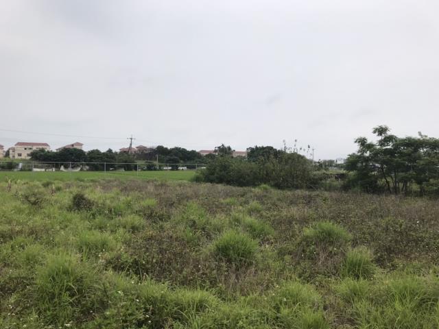 苗栗竹南工業地-0