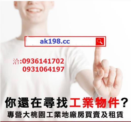 苗栗苑裡工業地-3
