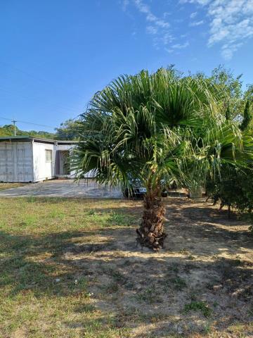 苗栗通霄農地-0