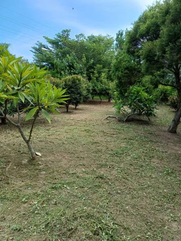 苗栗通霄農地-3