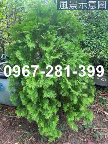 苗栗頭份農地-11