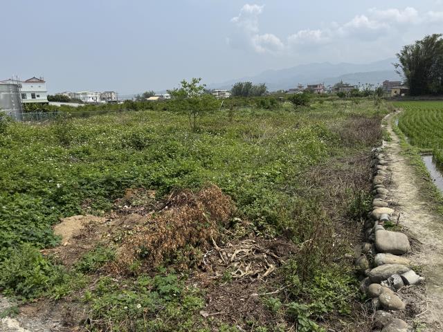 苗栗農地-4