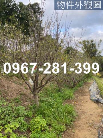 頭份農地-9