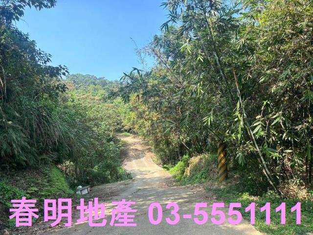 苗栗三灣農地-10