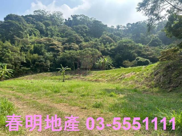 苗栗三灣農地-3