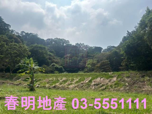 苗栗三灣農地-4