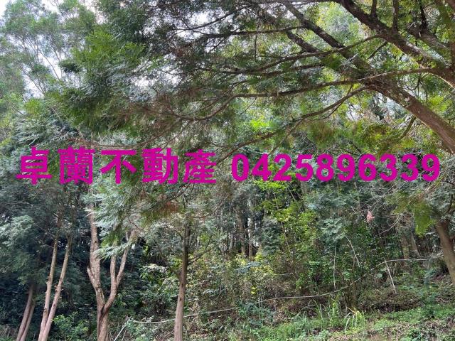 苗栗卓蘭農地-12