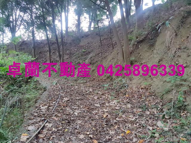 苗栗卓蘭農地-6