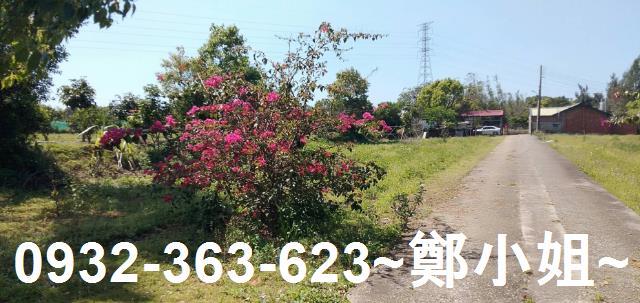 苗栗通霄農地-9