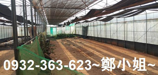 苗栗通霄農地-4