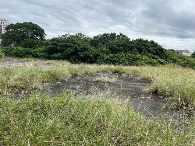 苗栗竹南工業地-2