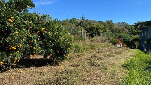 苗栗頭份農地-7