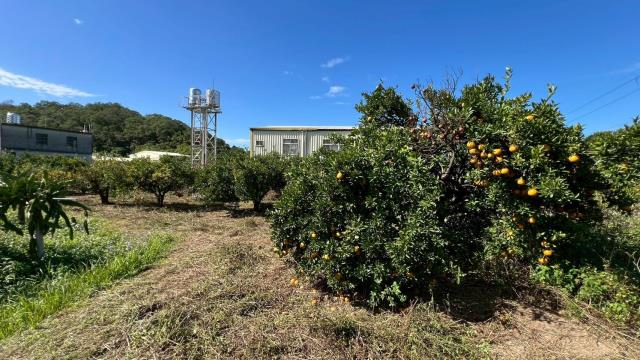 苗栗頭份農地-8