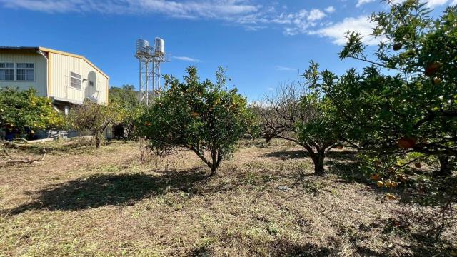 苗栗頭份農地-12