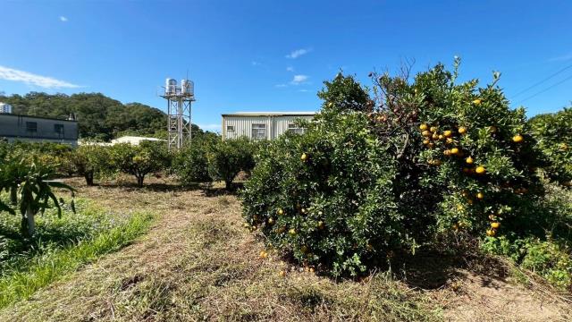 苗栗頭份農地-2