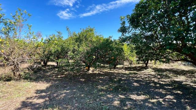 苗栗頭份農地-6