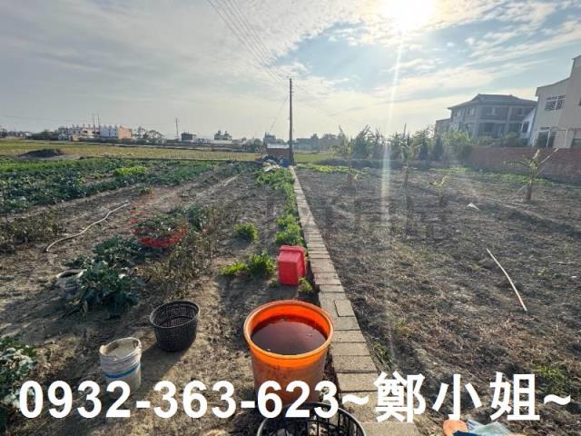 苗栗苑裡農地-7