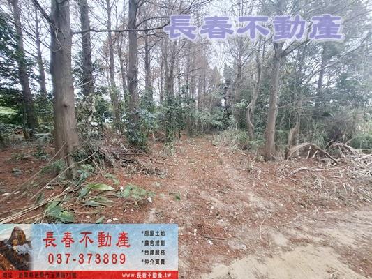 苗栗頭屋農地-9