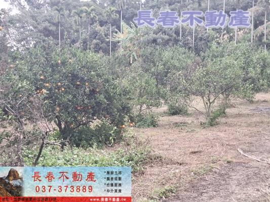 苗栗頭屋農地-0