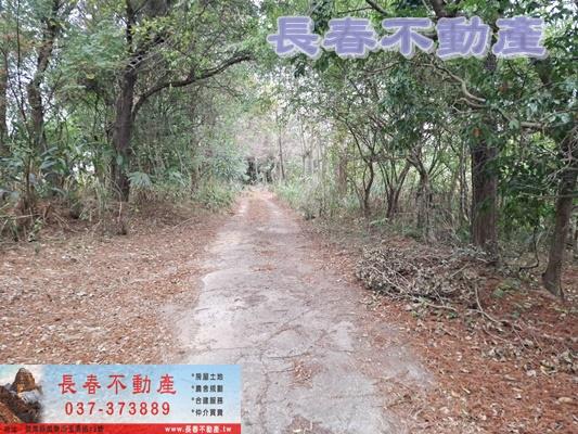 苗栗頭屋農地-7