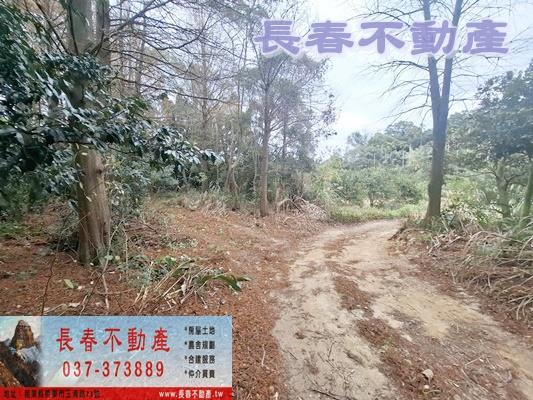 苗栗頭屋農地-8