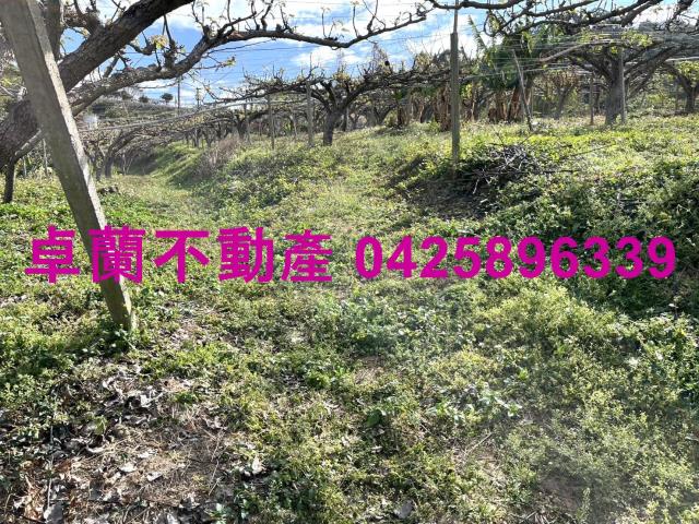 苗栗卓蘭農地-2