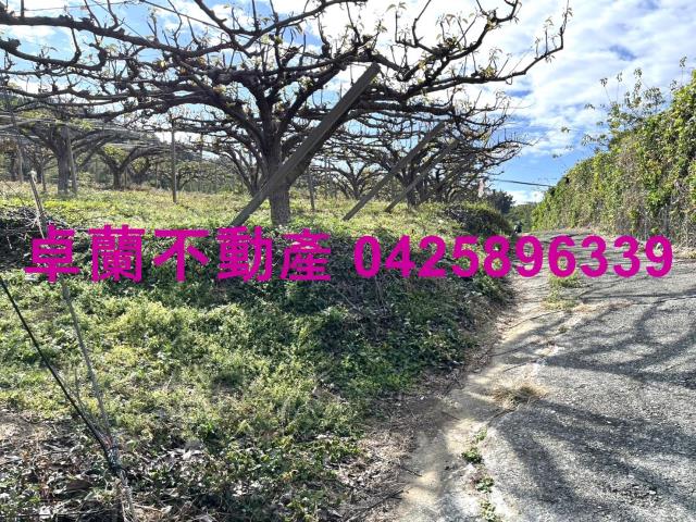 苗栗卓蘭農地-3