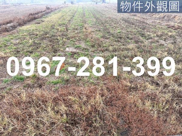 後龍農地-0