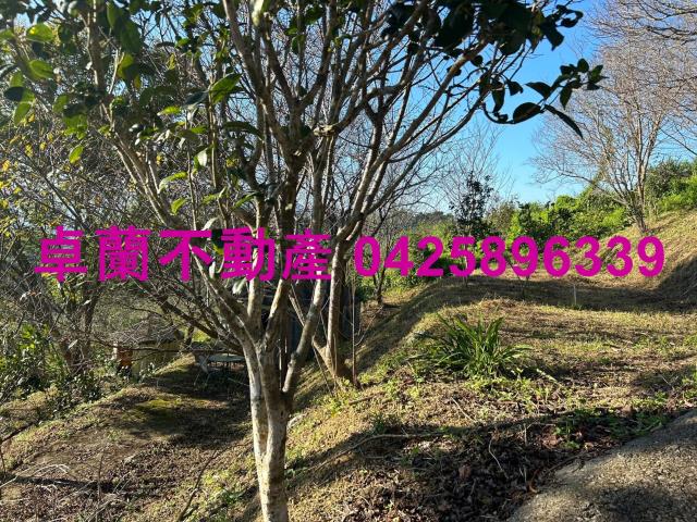 苗栗卓蘭農地-7