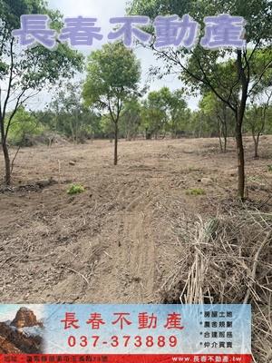 苗栗市農地-5