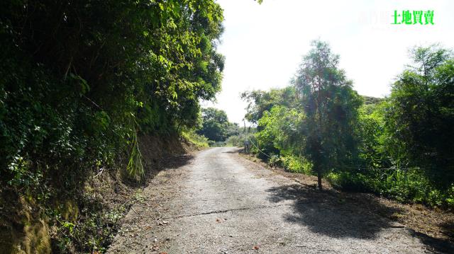 三灣農地-7