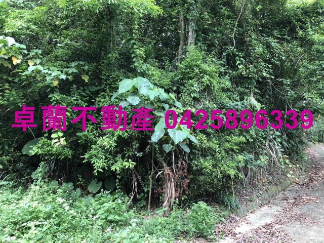 苗栗卓蘭農地-1
