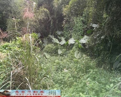 苗栗銅鑼農地-0