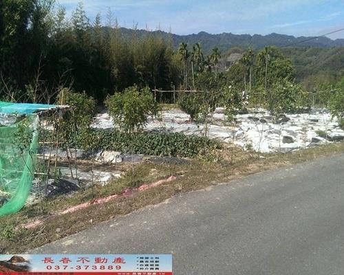 苗栗銅鑼農地-1