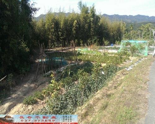 苗栗銅鑼農地-2