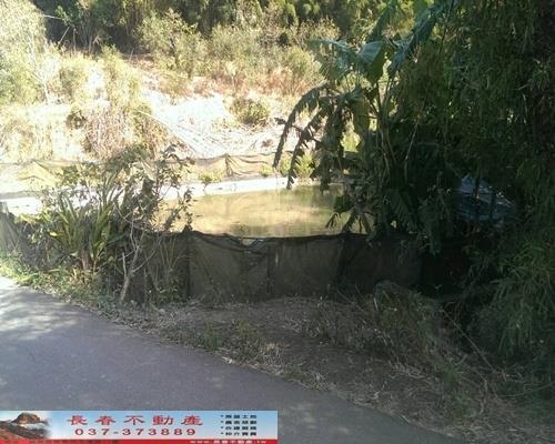 苗栗銅鑼農地-4