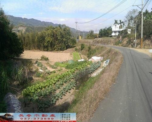 苗栗銅鑼農地-5