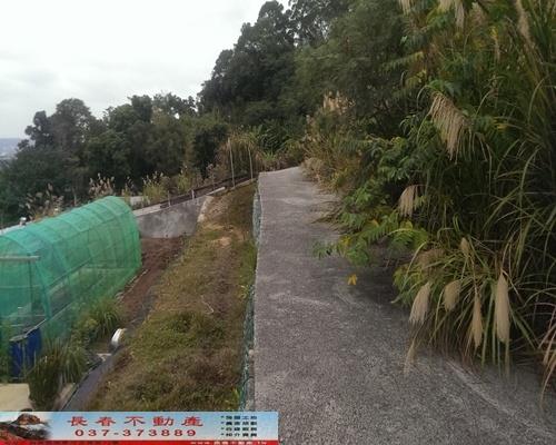 苗栗公館農地-1