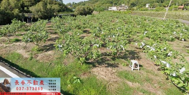 苗栗苗栗市農地-0