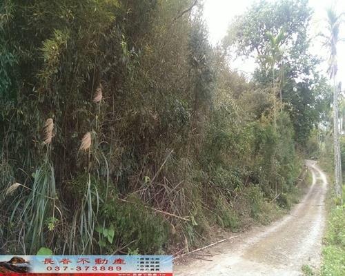 苗栗銅鑼農地-1