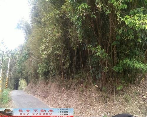 苗栗銅鑼農地-0