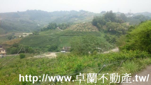卓蘭農地-7