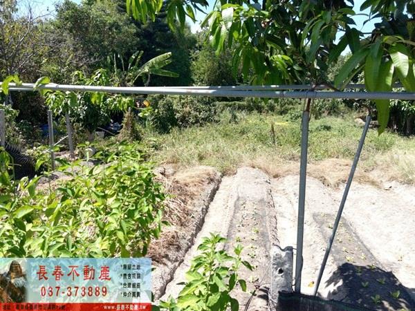 銅鑼農地-1