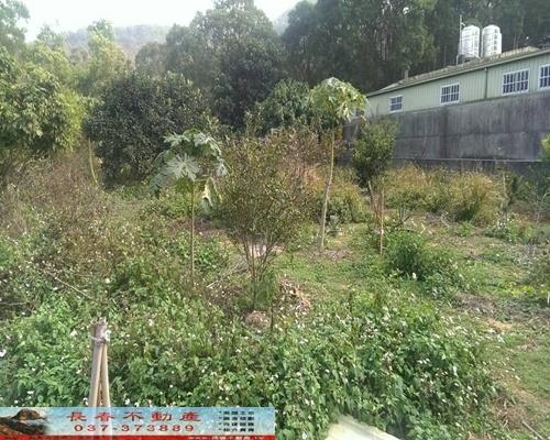 苗栗銅鑼農地-2