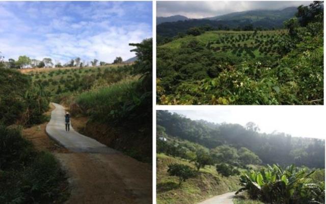 苗栗大湖農地-0