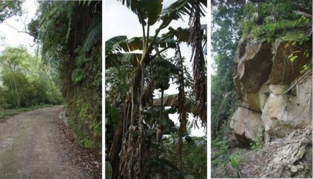 苗栗大湖農地-1